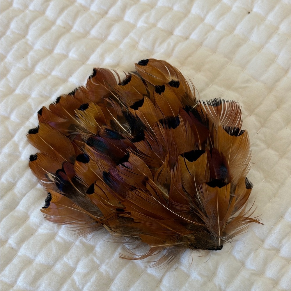 NWOT feather hair barrette